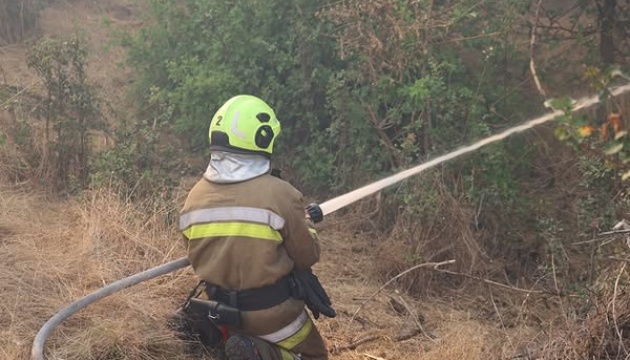 Рятувальники загасили пожежу площею 25 гектарів в лісовому урочищі на Миколаївщині