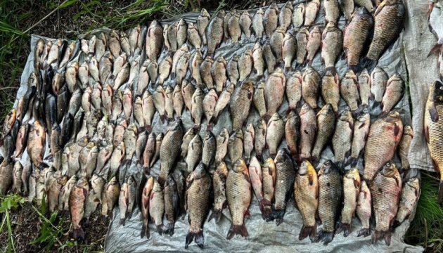 На Полтавщині зафіксували незаконний вилов риби у нацпарку