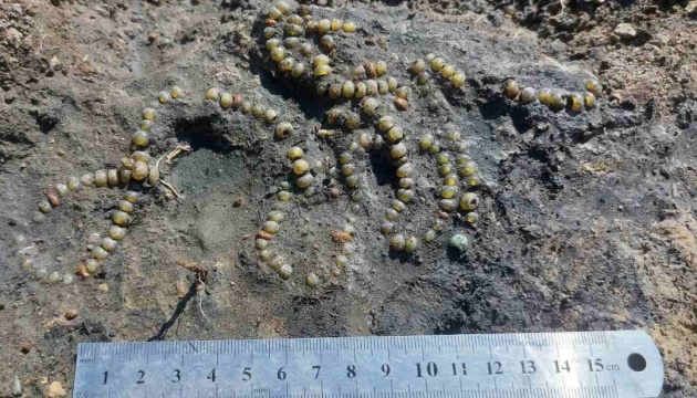 На Волині археологи виявили скляне давньоруське намисто