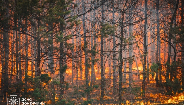 На Донеччині ліквідували масштабну лісову пожежу, спричинену російськими обстрілами