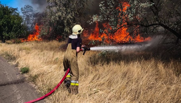 На Миколаївщині вирували масштабні пожежі, серед яких - лісова