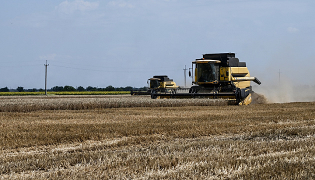 Складні жнива на Запоріжжі: хліб буде попри російські атаки