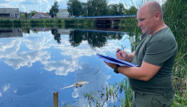 У річці Уборть на Житомирщині зафіксували масовий мор риби