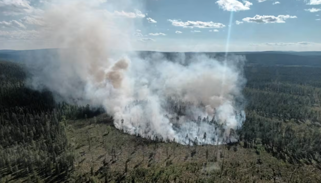 У Лапландії горять десятки гектарів лісу