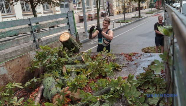 Негода у Києві: півмісячна норма дощу, підтоплені дороги та повалені дерева