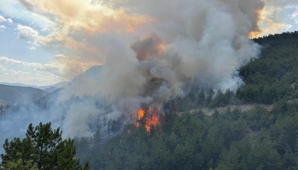 У Туреччині вирує нова масштабна лісова пожежа - залучили авіацію та евакуювали населення