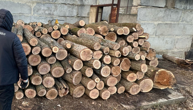 На Харківщині викрили схему незаконної вирубки лісу на ₴12 мільйонів