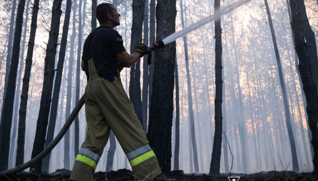 На Миколаївщині майже добу гасять масштабну лісову пожежу