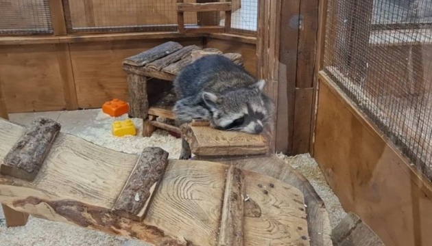 В Одесі через масові скарги перевірять контактний зоопарк