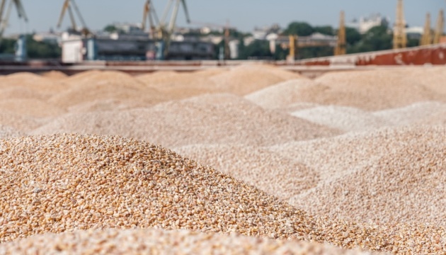 Україна у листопаді експортувала 5 млн т агропродукції - УКАБ