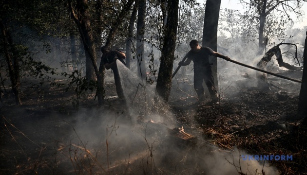 На Хортиці понад 12 годин гасили масштабну пожежу - вигоріли 4,5 гектара