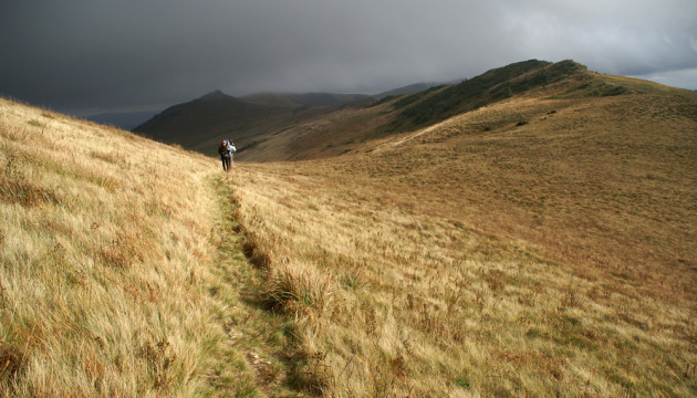 Закарпаття втрачає туристичний потенціал через рішення про будівництво вітряків - експерт