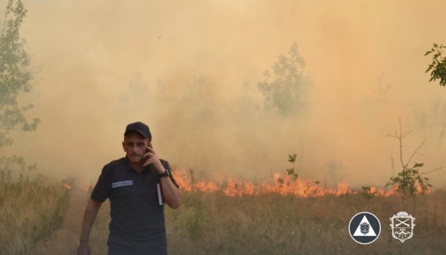 На Хортиці знову масштабна пожежа - вогонь швидко поширюється через вітер