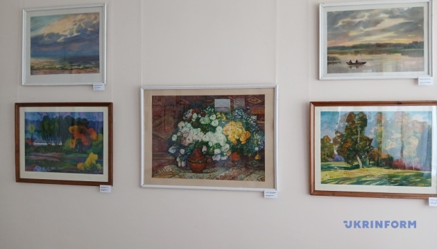 Як урятувати єдину в Україні художню галерею, розташовану в селі