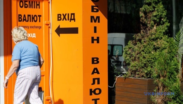 Експерт спрогнозував валютний курс на початок вересня