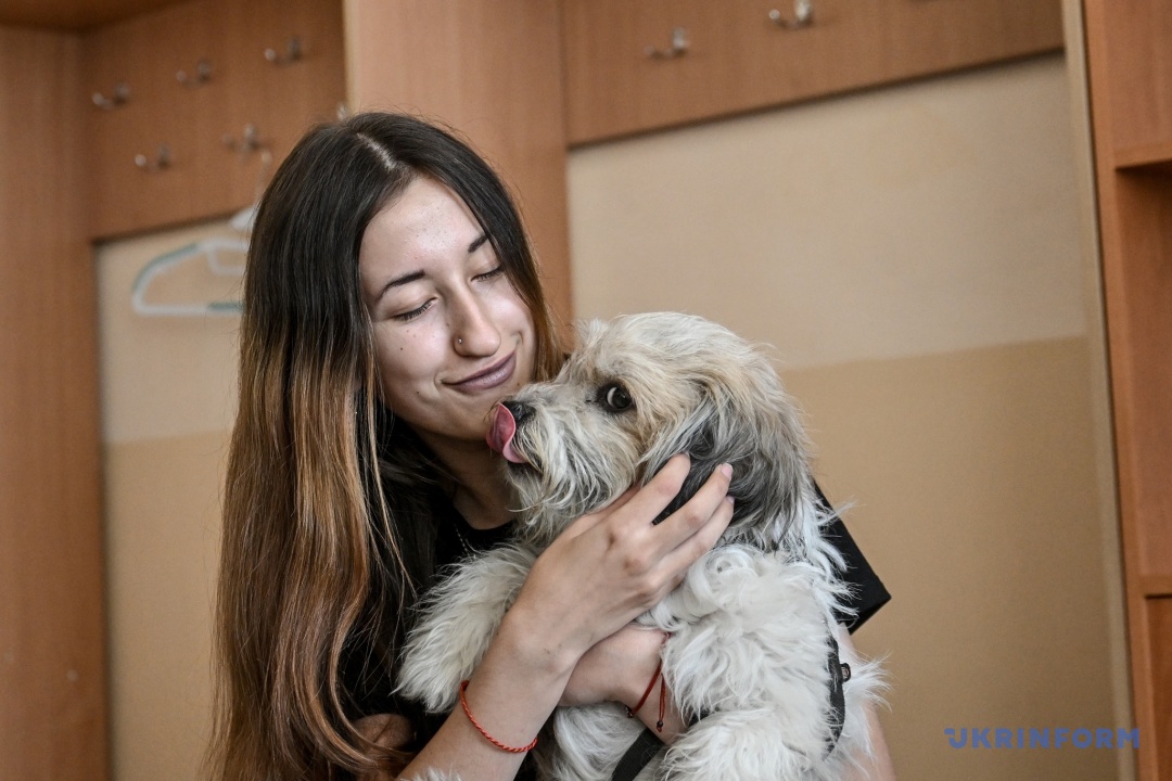 Каміла та собака 