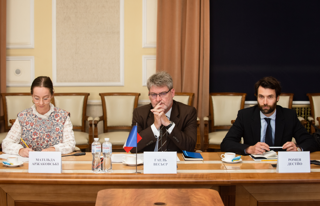 Стабільне постачання світла, тепла й газу: Гринчук розповіла послу Франції про потреби України
