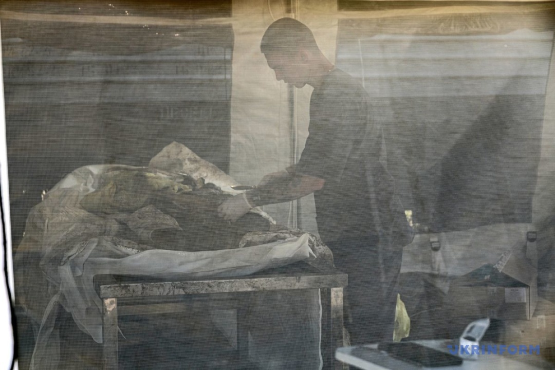 Фото: Ніна Ляшонок