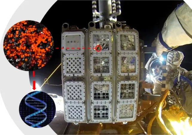 Фото: 247.libero.it