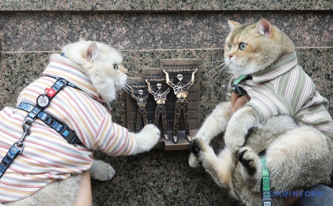 Фото: Володимир Тарасов