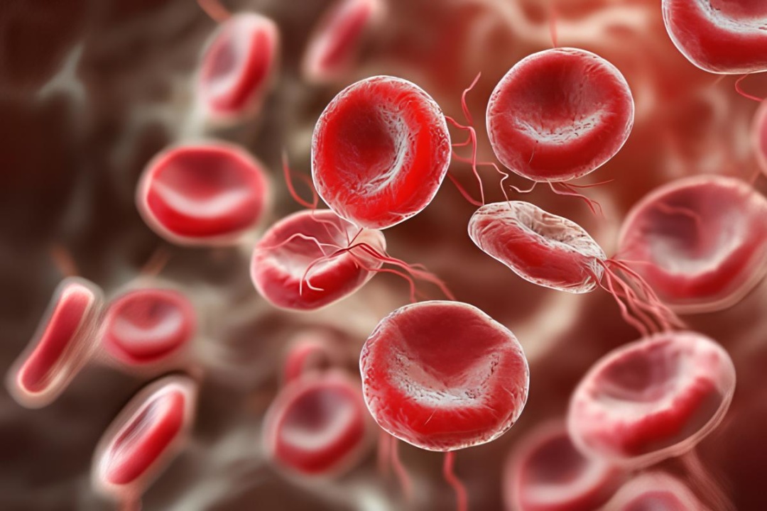 Фото: stock.adobe.com