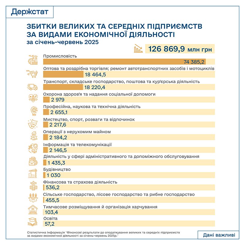 Частка прибуткових великих та середніх підприємств сягнула 74% - Держстат