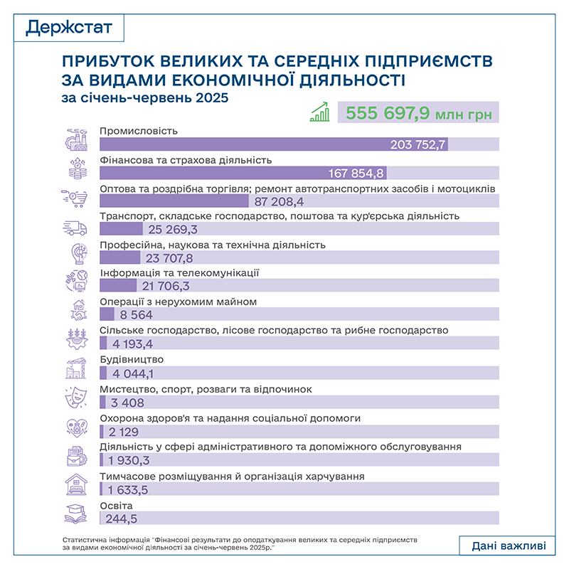 Частка прибуткових великих та середніх підприємств сягнула 74% - Держстат