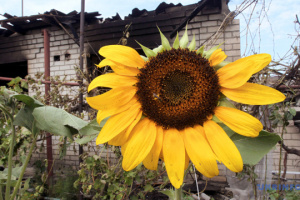 Enemies shell 31 settlements in Kherson region, two dead, eight injured