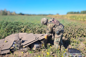 Warheads of two Russian drones neutralized in Chernihiv region
