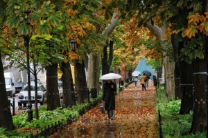 В Україні завтра невеликі дощі, вдень до +10°