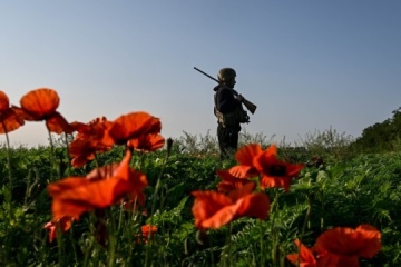 Nombre record d'attaques ennemies en direction de Novopavlivka en un jour