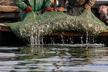 Le braconnage russe dans les eaux ukrainiennes de la mer d’Azov cause près de 140 millions d’euros de dégâts
