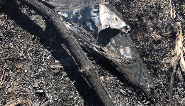 На Київщині та Житомирщині внаслідок російських обстрілів виникли лісові пожежі