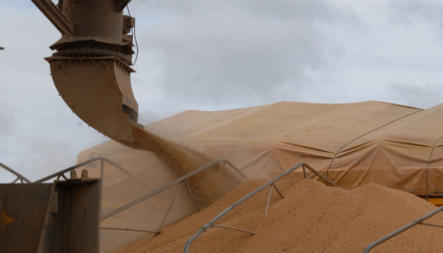 Україна відновила експорт соєвого шроту до Єгипту після тривалої перерви