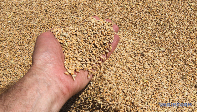 Ucrania exporta 4 millones de toneladas de productos agrícolas en agosto de 2025