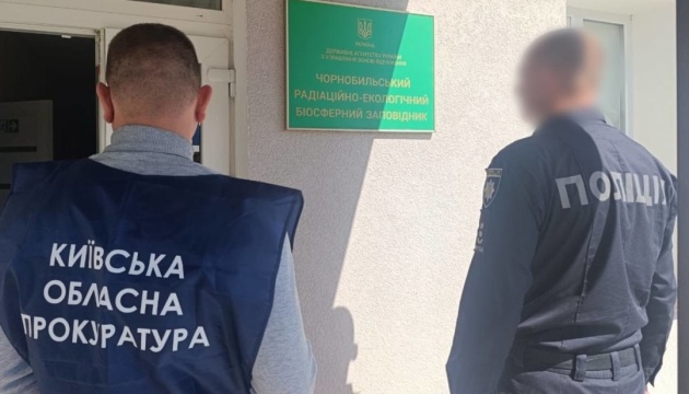 У Чорнобильській зоні незаконно вирубали дерев на понад ₴77 мільйонів