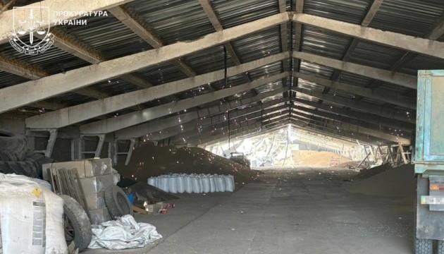 Війська РФ вдарили по складах із зерном на Одещині, є поранений