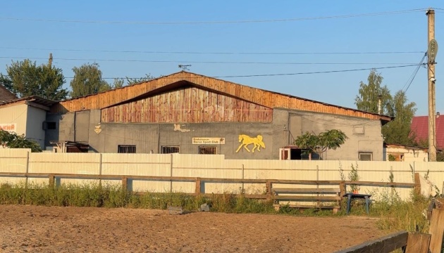 У мережі показали наслідки російської дронової атаки на стайню кінного клубу на Київщині