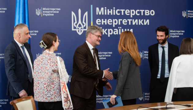 Стабільне постачання світла, тепла й газу: Гринчук розповіла послу Франції про потреби України