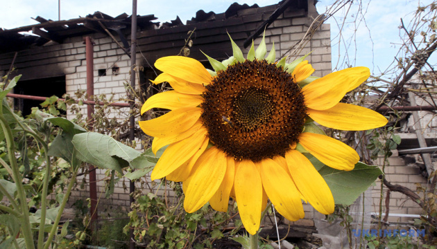 ６２％のウクライナ国民「必要な限りずっと戦争に耐える準備あり」＝世論調査