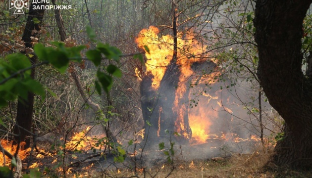 На Хортиці спалахнула масштабна пожежа, ситуацію ускладнює сильний вітер і спека