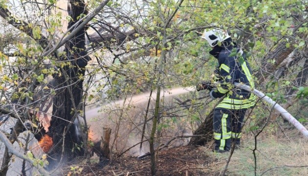Дощ допоміг загасити пожежу на Хортиці, яка вирувала два дні