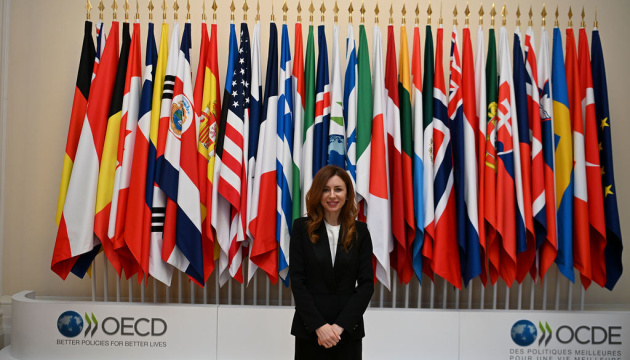 Гринчук закликала партнерів зменшити вплив Росії на глобальний ринок ядерної енергетики