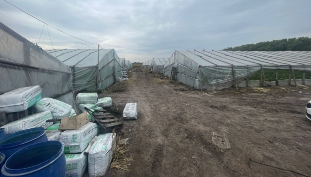 На Київщині викрили трьох іноземців та українку, які тримали у рабстві громадян Узбекистану