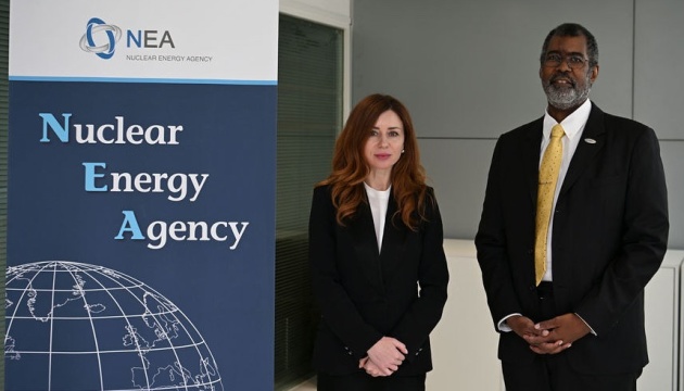 Гринчук обговорила із очільником NEA ризики для ядерної безпеки