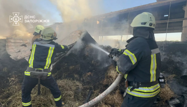 На Запоріжжі сталася масштабна пожежа на території кінного клубу
