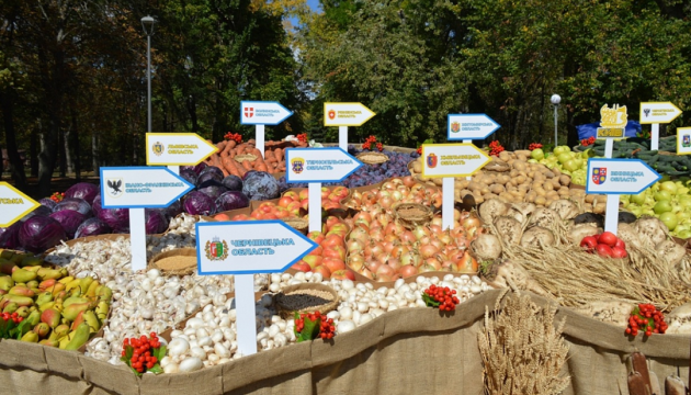 У Кропивницькому встановили рекорд з найбільшою інсталяцією-мапою України