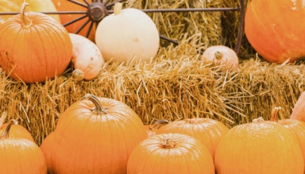 У Музеї просто неба відбудеться «Гарбуз Fest»