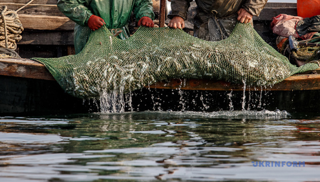 Le braconnage russe dans les eaux ukrainiennes de la mer d’Azov cause près de 140 millions d’euros de dégâts