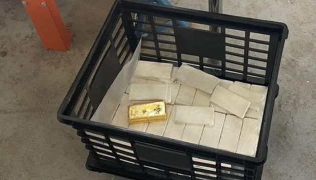 У Європі викрили мережу відмивання грошей через торгівлю золотом - вилучили 100 кілограмів зливків